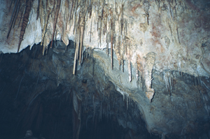 Ein Bild von den Carlsbad Caverns in New Mexiko